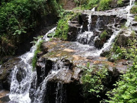 Paysage rafraichissant à Mortain.